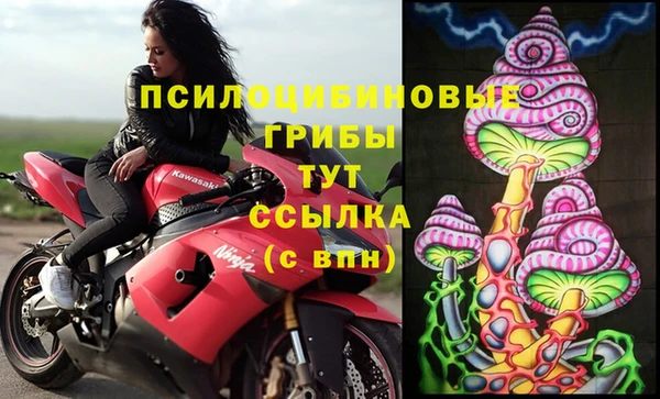 амф Алексин