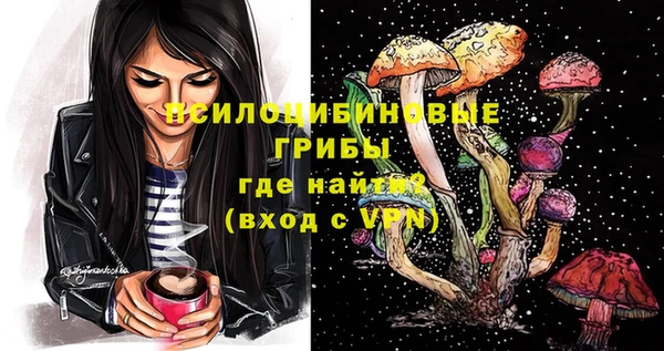 амф Алексин