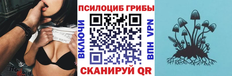 сколько стоит Малаховка Галлюциногенные грибы GOLDEN TEACHER